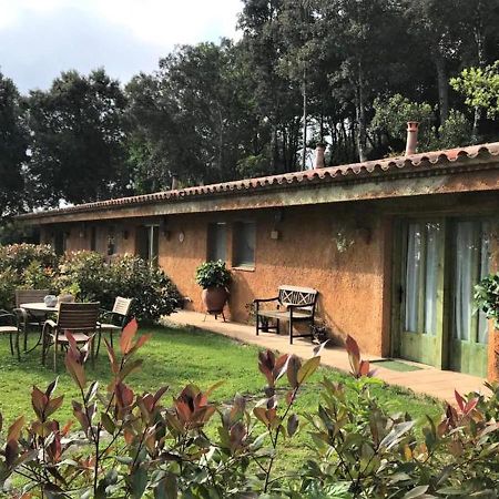 Aurora 2-Bed Cottage - Sleeps 4 - Montseny Park Arbúcies Kültér fotó
