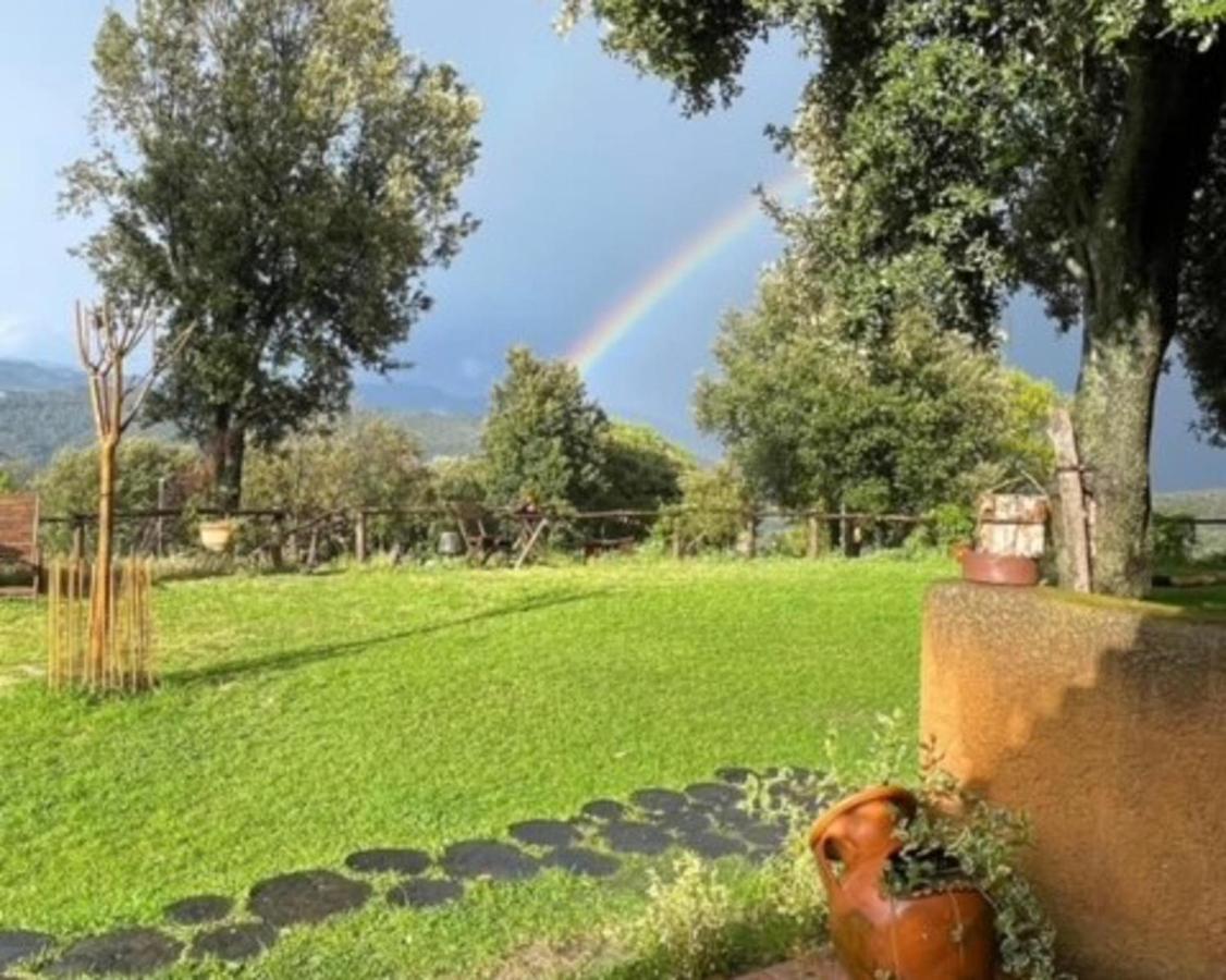 Aurora 2-Bed Cottage - Sleeps 4 - Montseny Park Arbúcies Kültér fotó