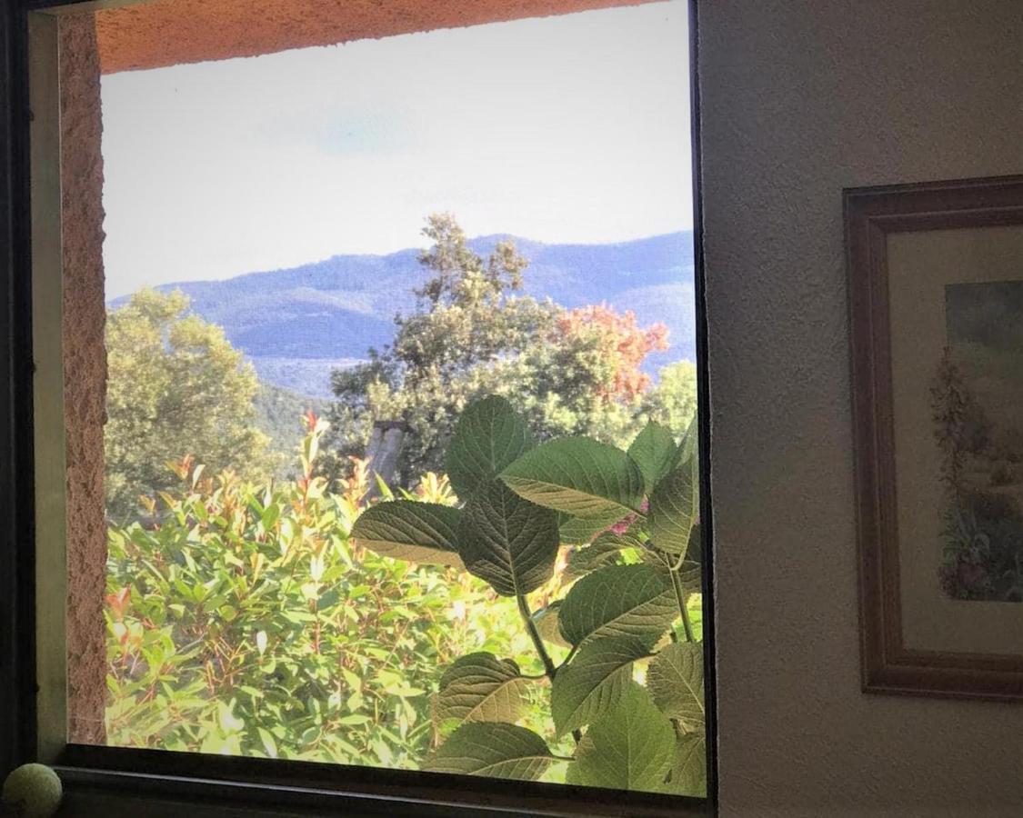 Aurora 2-Bed Cottage - Sleeps 4 - Montseny Park Arbúcies Kültér fotó